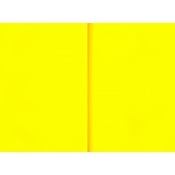 Бизнес-блокнот ФЕНИКС+ 