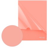 Папка-уголок BRAUBERG PASTEL, А4, 150 мкм, жесткая, непрозрачная, персиковый (272891)