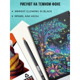 Набор цветных карандашей ACMELIAE трехгранные, 24цв. в картонном футляре (C8900-24PB)