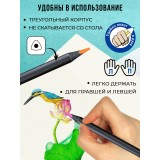 Набор цветных карандашей ACMELIAE трехгранные, 24цв. в картонном футляре (C8900-24PB)