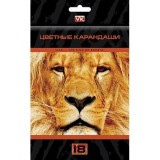 Карандаши цветные ХАТБЕР VK 