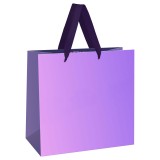 Пакет подарочный MESHU 