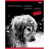 Тетрадь А5 48 л. клетка ХАТБЕР 