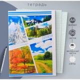 Тетрадь А4 96л. клетка Calligrata 