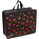 Папка для тетрадей, ИЗО и технологии А4 deVENTE Папка для тетрадей, ИЗО и технологии А4 deVENTE