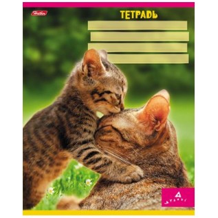 Тетрадь А5 18 л. клетка ХАТБЕР 