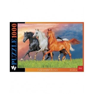 Пазлы ХАТБЕР А2 1000 элементов 