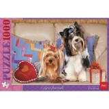 Пазлы ХАТБЕР А2 1000 элементов 