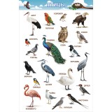 Набор плакатов для дошкольников А3 ХАТБЕР Набор плакатов для дошкольников А3 ХАТБЕР