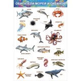 Набор плакатов для дошкольников А3 ХАТБЕР Набор плакатов для дошкольников А3 ХАТБЕР
