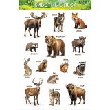 Набор плакатов для дошкольников А3 ХАТБЕР Набор плакатов для дошкольников А3 ХАТБЕР