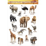 Набор плакатов для дошкольников А3 ХАТБЕР Набор плакатов для дошкольников А3 ХАТБЕР