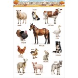 Набор плакатов для дошкольников А3 ХАТБЕР Набор плакатов для дошкольников А3 ХАТБЕР