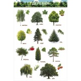 Набор плакатов для дошкольников А3 ХАТБЕР Набор плакатов для дошкольников А3 ХАТБЕР