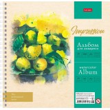 Альбом для рисования ХАТБЕР А5 20 л.