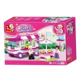 Конструктор РОЗОВАЯ МЕЧТА Конструктор РОЗОВАЯ МЕЧТА