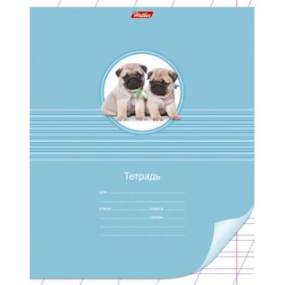 Тетрадь А5 12 л. косая линия ХАТБЕР 