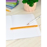 Линейка ФЕНИКС+ Линейка ФЕНИКС+