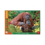 Пазлы ХАТБЕР А2 1000 элементов 