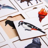 Теневое лото на звук 