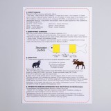 Теневое лото на звук 