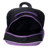 Ранец ФЕНИКС+ 