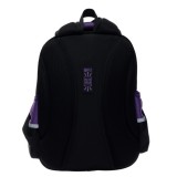 Ранец ФЕНИКС+ 