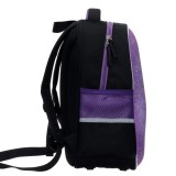 Ранец ФЕНИКС+ 