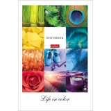 Тетрадь в твердом переплете ХАТБЕР А5 96 листов 