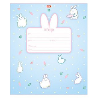 Тетрадь А5 12 л. линия ХАТБЕР VK 