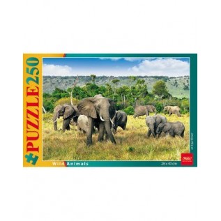 Пазлы ХАТБЕР А3 250 элементов 