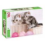 Пазлы ХАТБЕР А4 160 элементов 