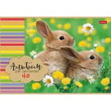 Альбом для рисования ХАТБЕР А4 40 л. 