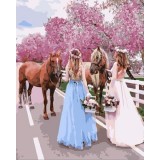 Набор для раскрашивания по номерам PAINTBOY 