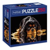 Пазлы ХАТБЕР А3 250 элементов 