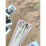 Фотоальбом ПОЛИНОМ Фотоальбом ПОЛИНОМ