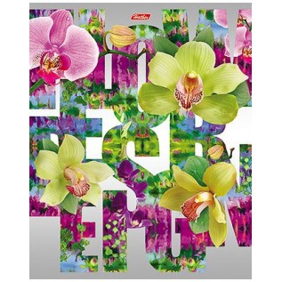 Тетрадь А5 48 л. клетка ХАТБЕР 