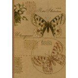 Записная книжка В5 ФЕНИКС+ 