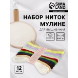 Набор ниток мулине АРТ УЗОР №11/12, 8±1м, ассорти (ЦЕНА ЗА 12 ШТ) (4338590)