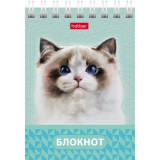 Блокнот ХАТБЕР А7 40л. клетка, 