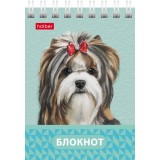 Блокнот ХАТБЕР А7 40л. клетка, 