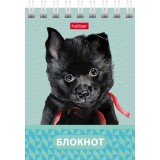 Блокнот ХАТБЕР А7 40л. клетка, 
