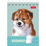 Блокнот ХАТБЕР А7 40л. клетка, 