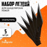 Набор лезвий CALLIGRATA, в пластиковой коробке, 5шт. (5799792)