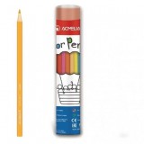Набор цветных карандашей ACMELIAE шестигранные 12цв. в футляре тубусе (9801-12)