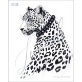 Тетрадь А5 48л. клетка, ХАТБЕР Тетрадь А5 48л. клетка, ХАТБЕР