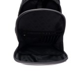 Ранец ФЕНИКС+ 