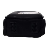 Ранец ФЕНИКС+ 