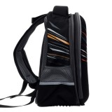 Ранец ФЕНИКС+ 