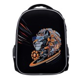 Ранец ФЕНИКС+ 